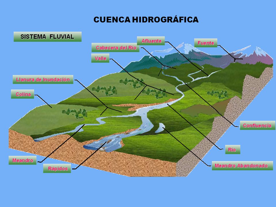 CUNCA FLUVIAL