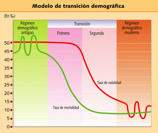 RÉXIME DEMOGRÁFICO