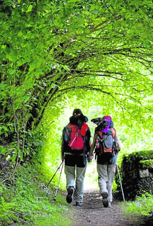 ECOTURISMO
